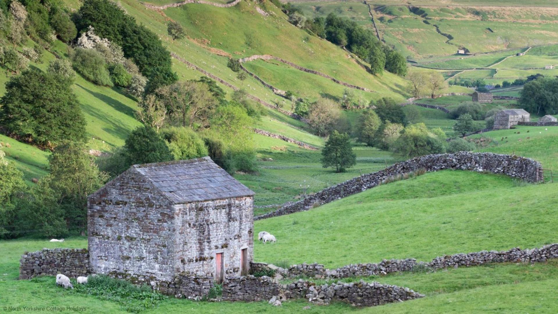Picturesque Stone Cottage In The Heart Of North Yorkshire Village - Hideaway Cottage Exteriér fotografie